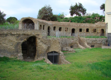 Ortensio