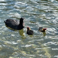 IMG_6366