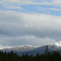 L1270440