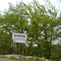 a 534.jpg