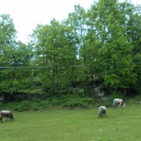 a 543.jpg