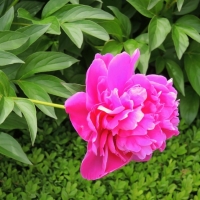DSCN1595