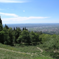 P4302502