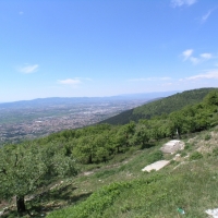P4302503