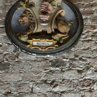 IMG_20220925_102412