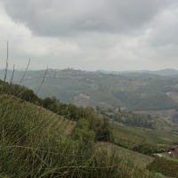 IMG_20220925_124326