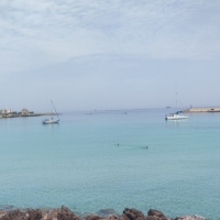 IMG_20220604_124032