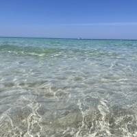 IMG_2072