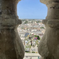 IMG_2332