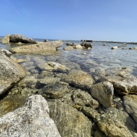 IMG_2370