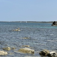 IMG_2378