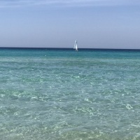 IMG_9014
