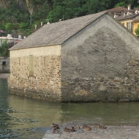IMG_8150.jpg