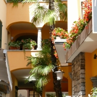 L1340185.jpg